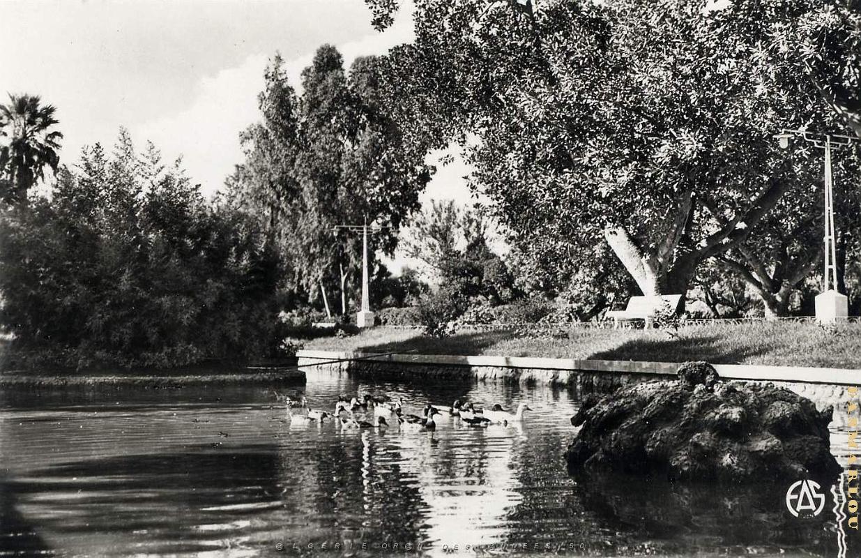 Saint Denis du Sig 501- Parc COLLECTION DES AMIS DE ND DE SANTA CRUZ.jpg